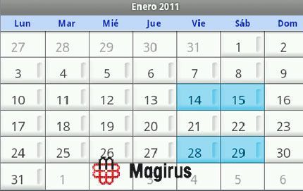 Formación Magirus, enero 2011