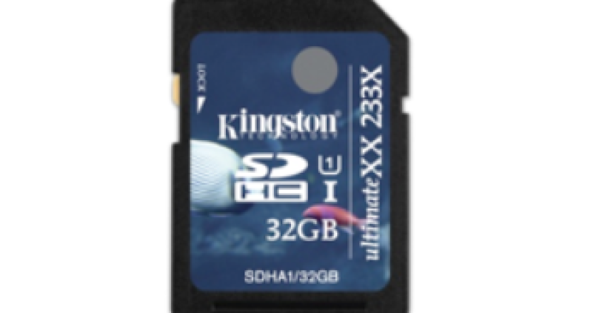 kingston_sdhc