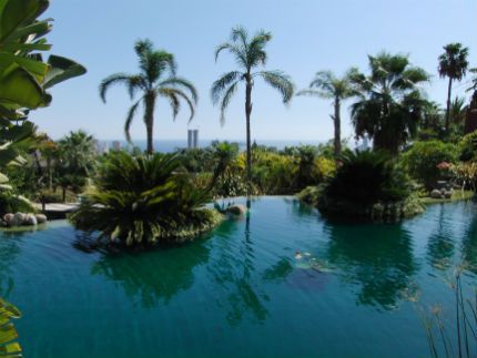 convencion_microsoft_hotel