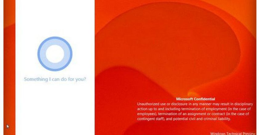 windows_10_build9901