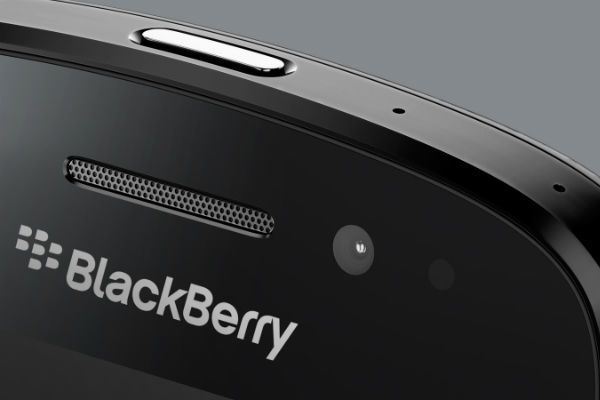 blackberry_verticales
