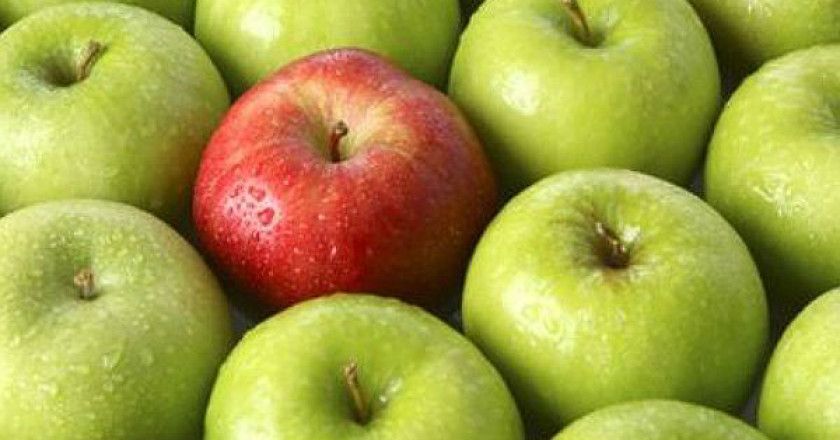 partner_tecnológico_de_valor