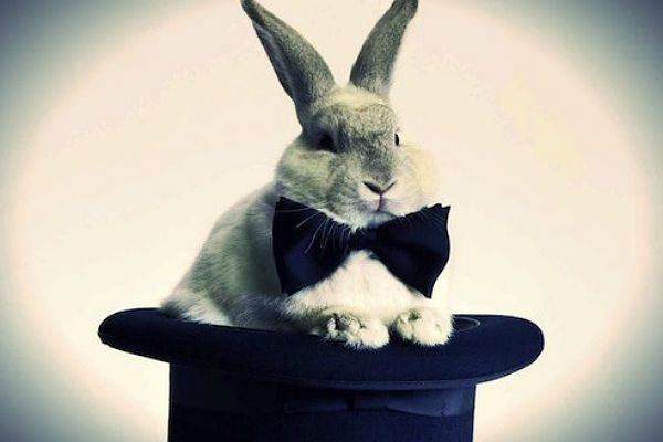 negocios_nuevas_empresas