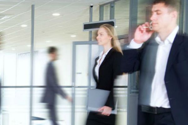 zebra_programa_de_canal