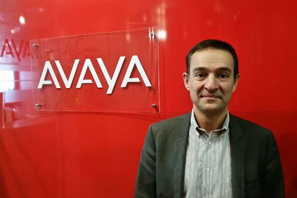 avaya_director_mayorista