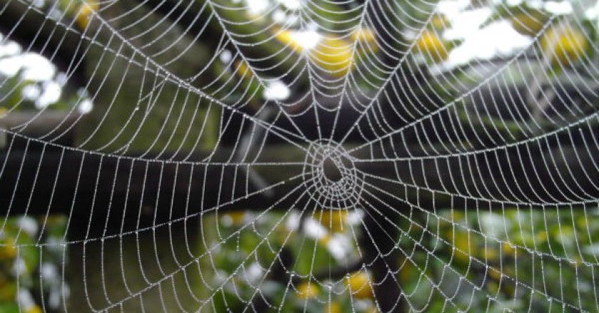 iot_empresas_internet_de_las_cosas