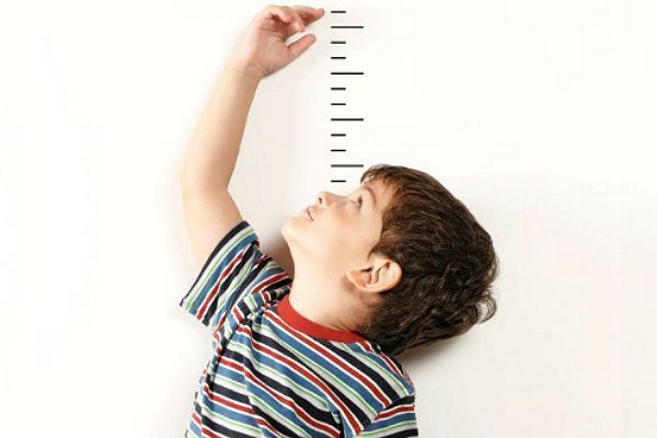 ingecom_resultados_trimestre