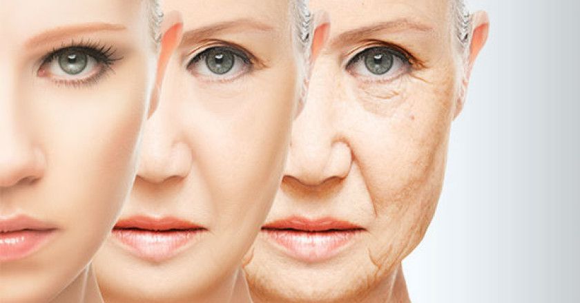 compradores_tecnologia_b2b