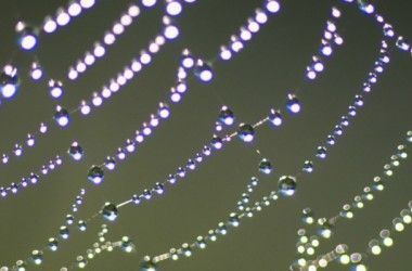intercambio-de-internet-ixp