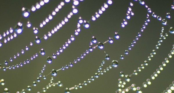 intercambio-de-internet-ixp