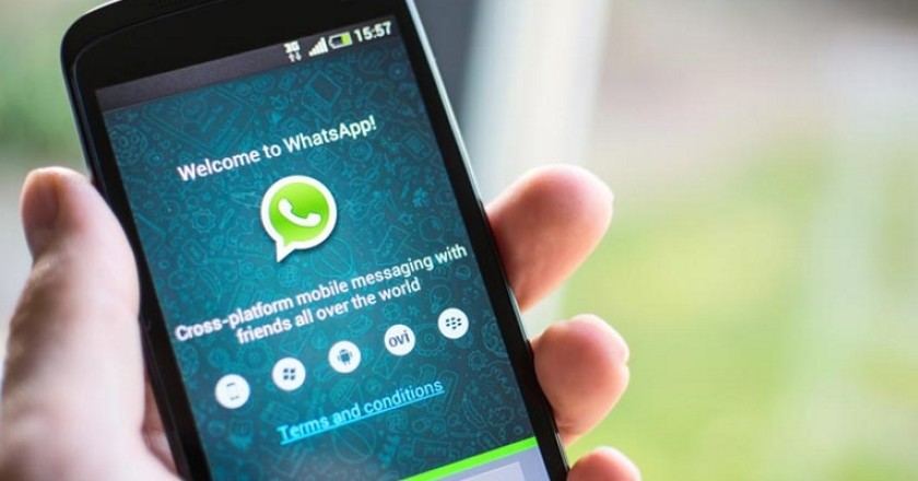 whatsapp_empresas_verificacion