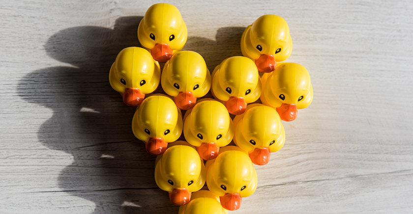 amazon_spark_red_social