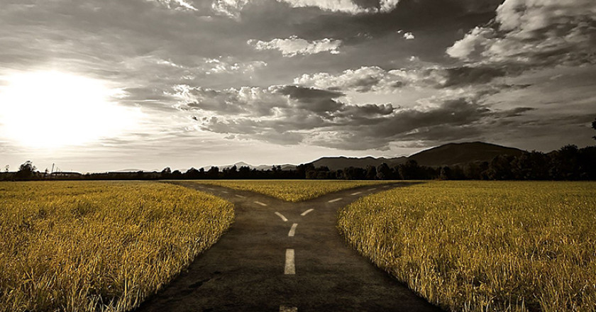 samsung_lg_resultados