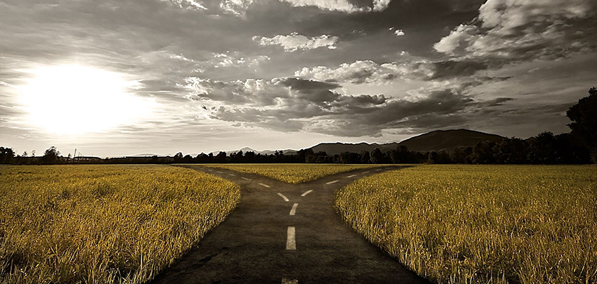 samsung_lg_resultados