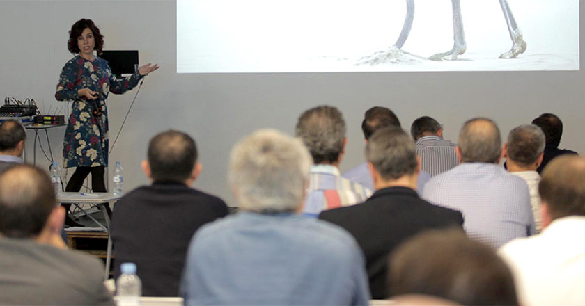 ahora freeware canal