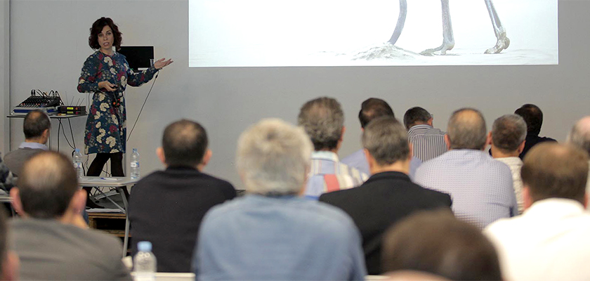 ahora freeware canal