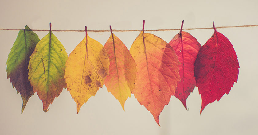 precios_cambios_mediamarkt_pccomponentes_amazon