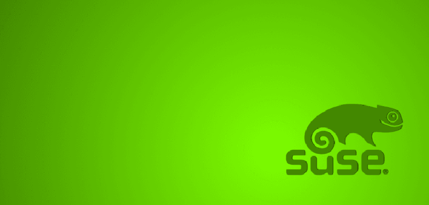 suse_venta