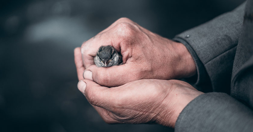 seguridad_gestionada_mssp