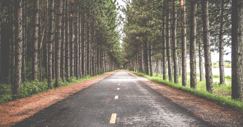 canal_ti_resumen_2018