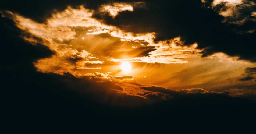 negocio_canal_distribucion_españa