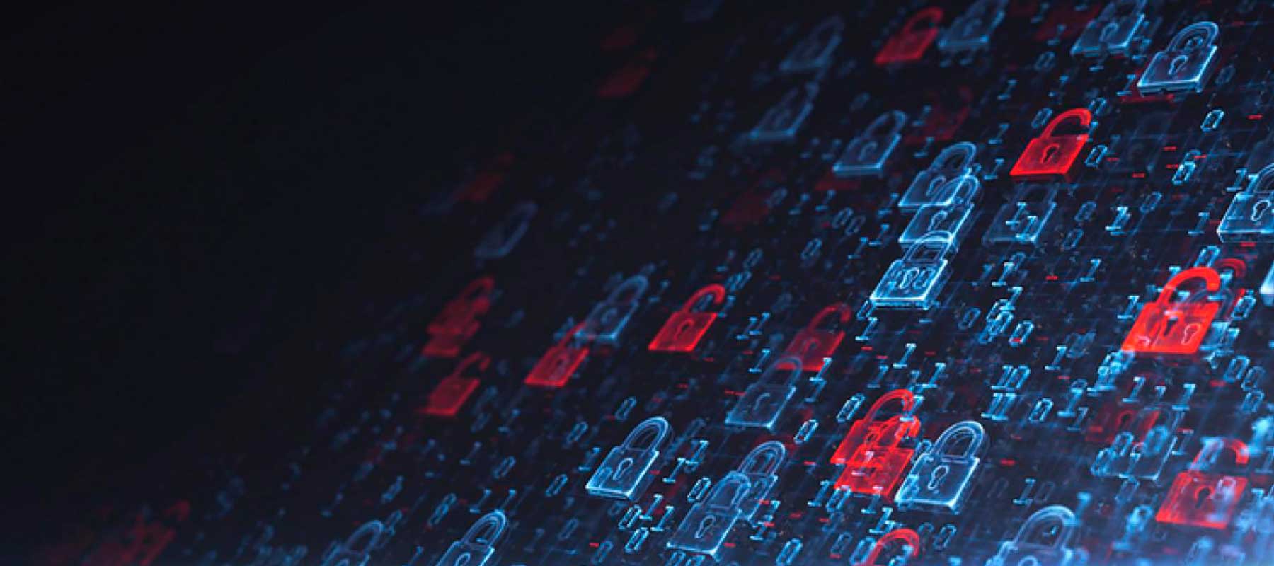 ciberseguridad_seguridad_mayoristas