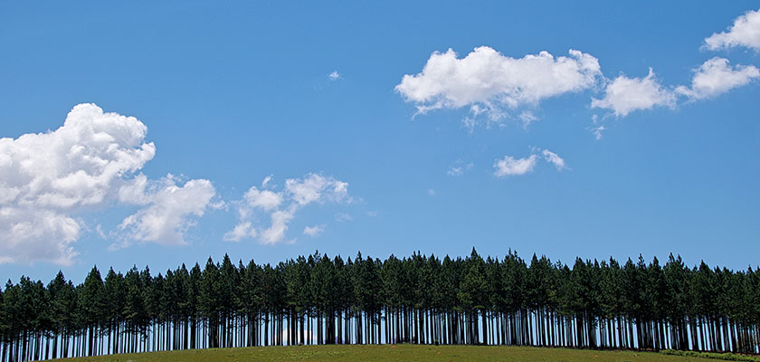 cloud_publico_precio