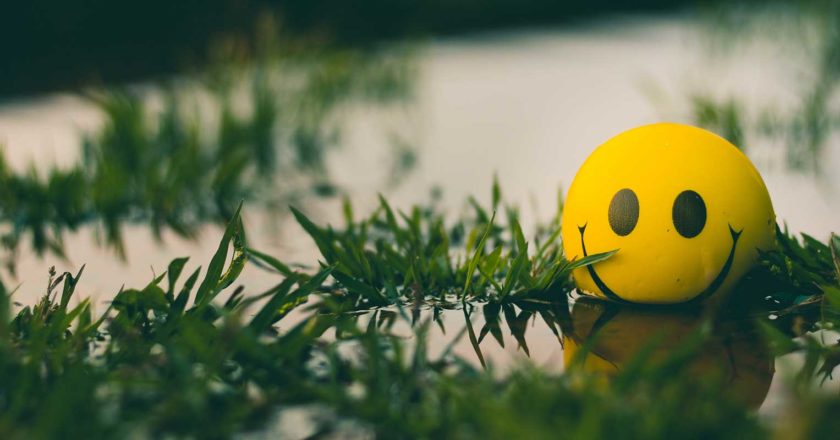 partners_ti_optimismo