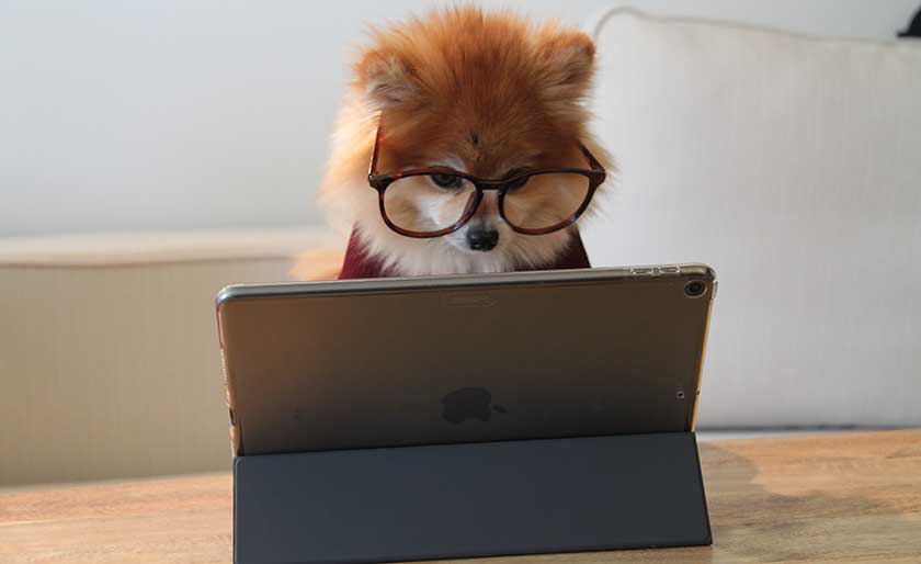 portatiles_pc_canal_ti