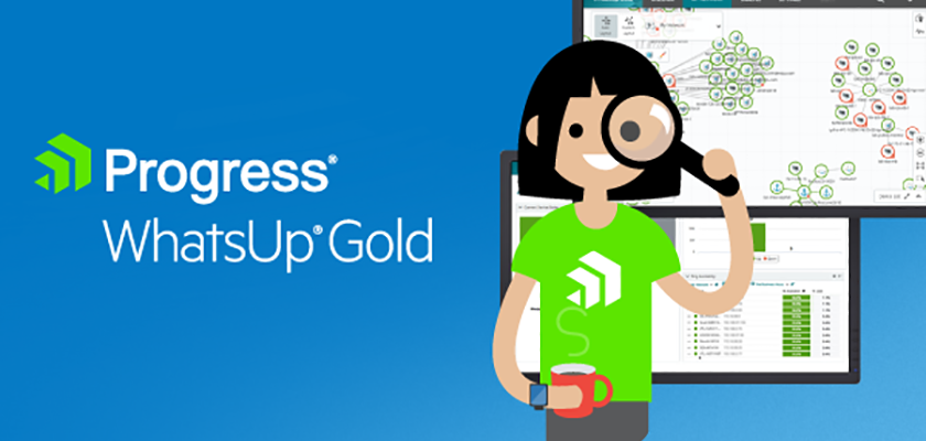 ingram micro - progress