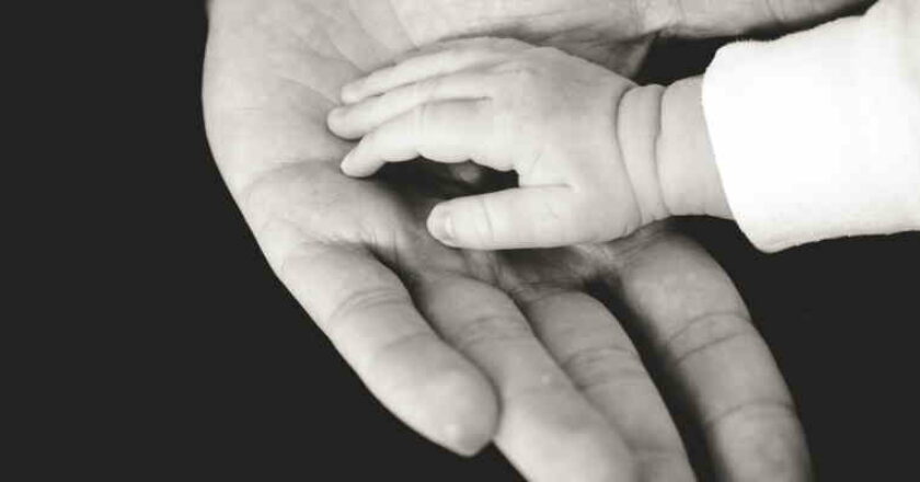 lidera_botech_seguridad