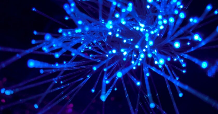 servicios de conectividad