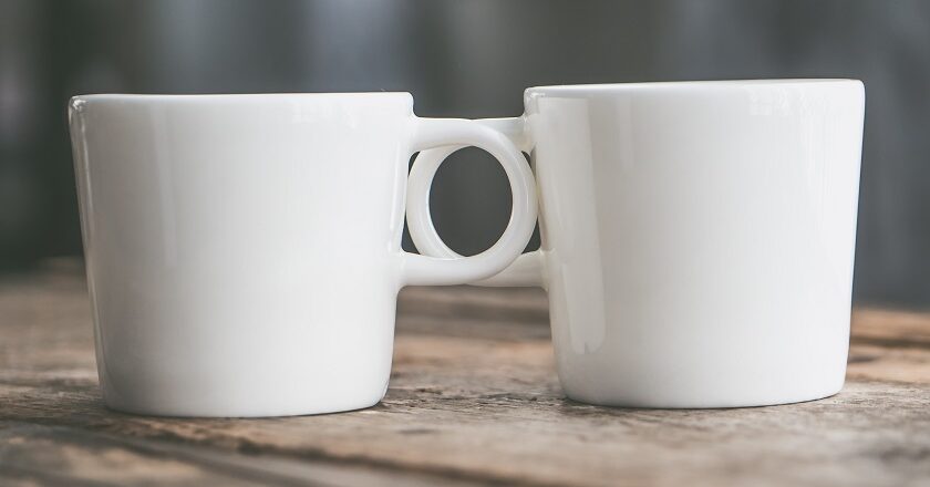 experiencia de partner