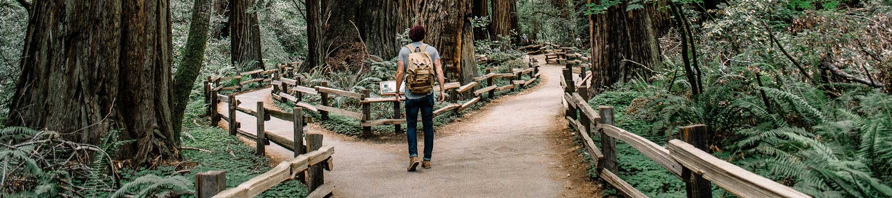 El cloud importa más que nunca: AWS, Alphabet y Microsoft