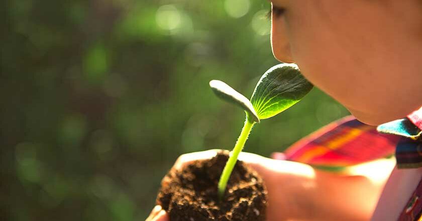 esprinet_resultados_valor