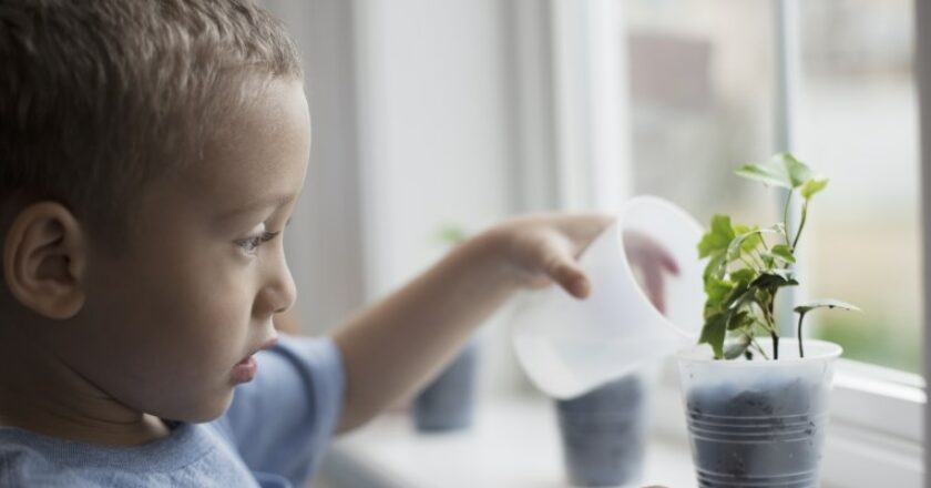 negocio_tecnológico_españa