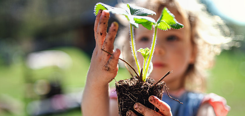 sostenibles-partners-ti