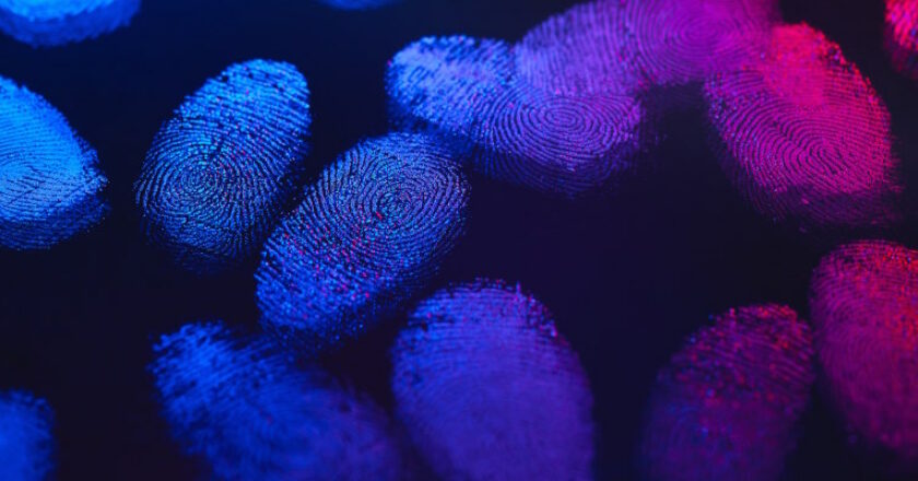 vu-v-valley-identidades