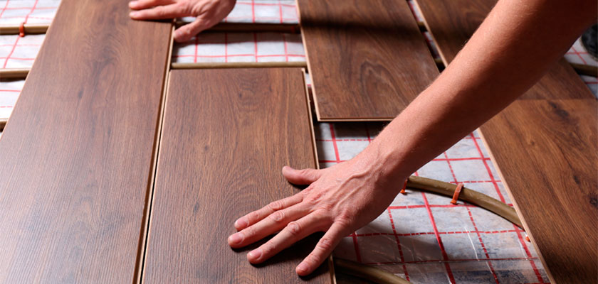 distiplas-alive-sage