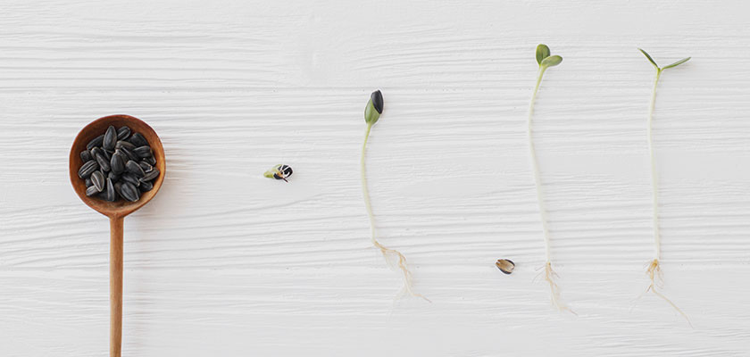 transformacion-digital-fallos