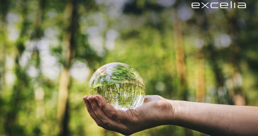 Excelia consigue la certificación ISO 14001 de gestión ambiental