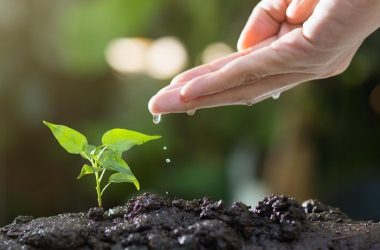 Nueva normativa de huella de carbono, otra oportunidad para ser verde en España