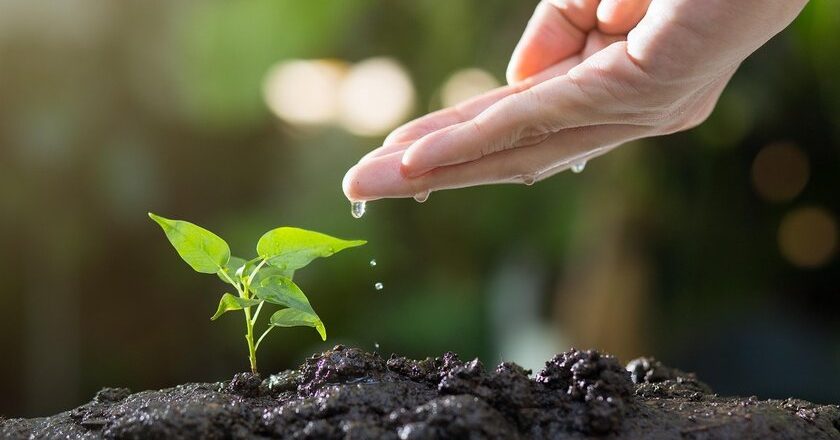 Nueva normativa de huella de carbono, otra oportunidad para ser verde en España