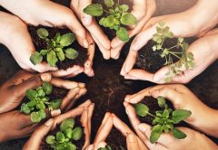 sostenibilidad-td-synnex-