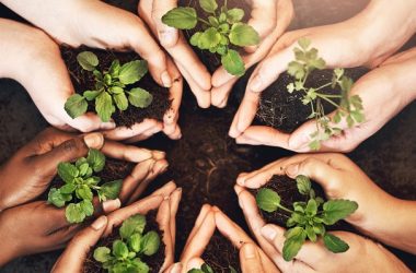 sostenibilidad-td-synnex-