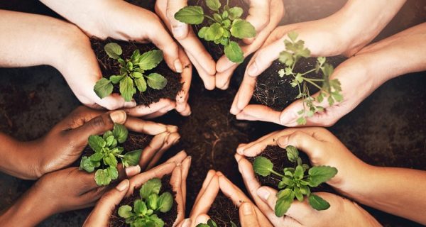 sostenibilidad-td-synnex-