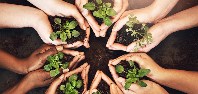 sostenibilidad-td-synnex-