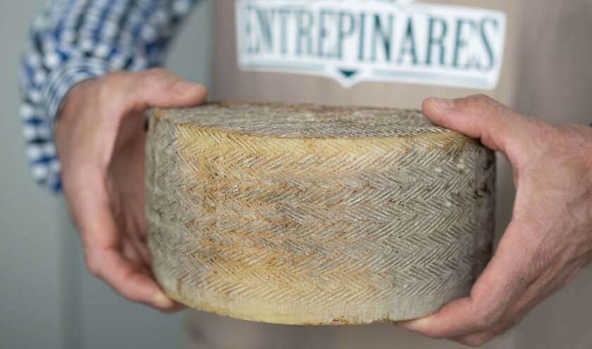 Grupo Entrepinares se apoya en SAP y Altim para crecer de forma sostenible e innovar con SAP S/HANA